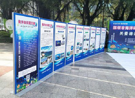 颍上KT板的种类和知识。